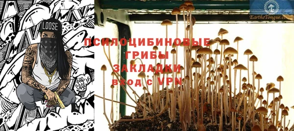 кокс Алексин