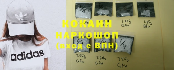 кокс Алексин